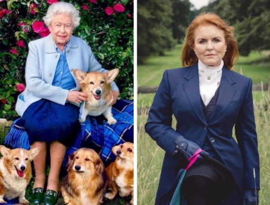 Corgis reina Isabel II