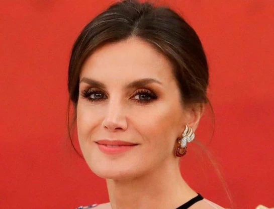 Letizia Ortiz impactó con su look de gala en su color favorito