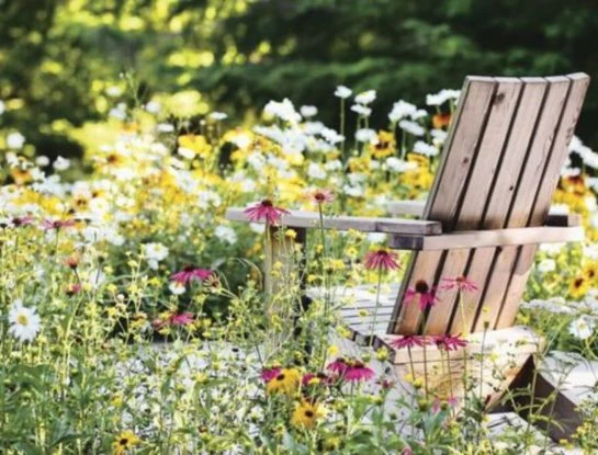 Una combinación de flores blancas y rosas para decorar tu jardín