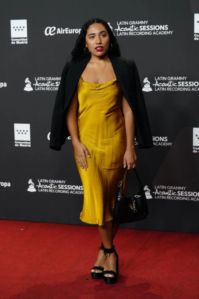 looks celebs latin grammy