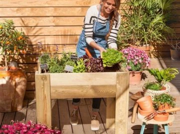 #ManualDeJardinería: cómo cuidar la huerta en verano y mantenerla siempre hidratada