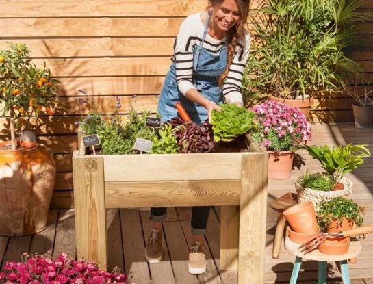 Manual de Jardinería: 10 consejos básicos para principiantes