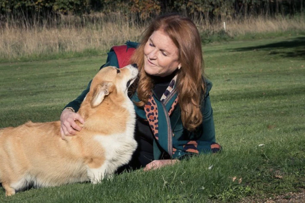 Sarah Ferguson y los corgis de Isabel II. Foto: Instagram.