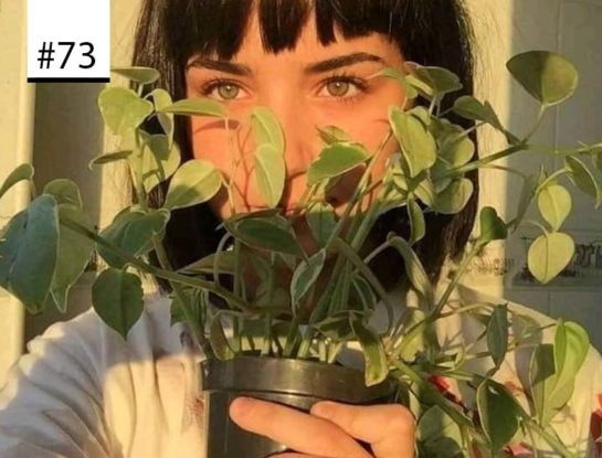 #Los100DeParaTi: Plantfulness, la práctica que se puso de moda y que pregona el contacto con las plantas para ser feliz