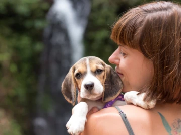 Los beneficios del ayuno intermitente para los perros