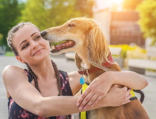 Por qué la actividad física también es importante para tu mascota