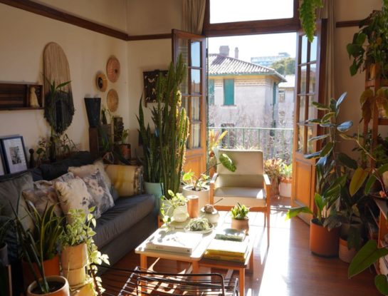 Video deco: un hogar "en la jungla" cálido y lleno de vida