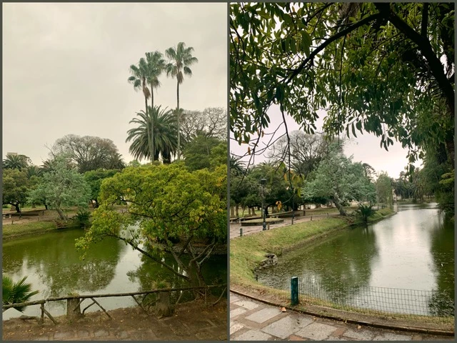Caminos arbolados del Parque Rodo