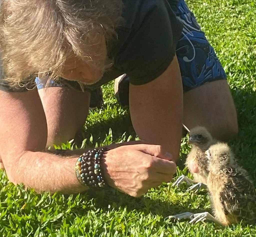 Facundo-Arana-con-pichoncitos