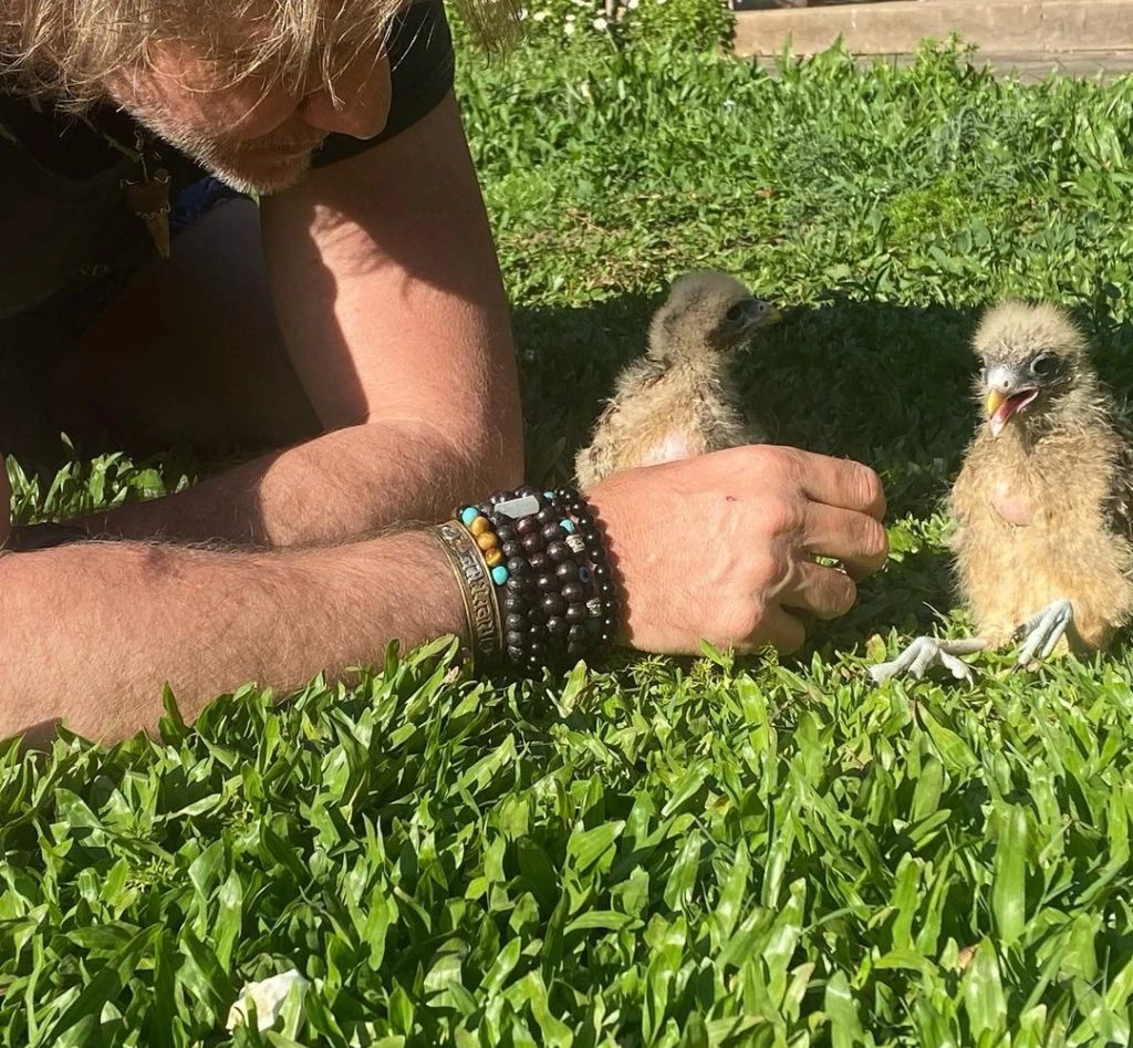 Facundo-Arana-con-pichoncitos