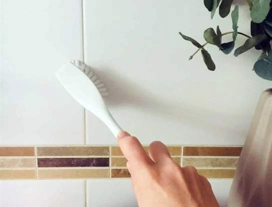 Trucos de limpieza: cómo eliminar el moho de las paredes de tu casa