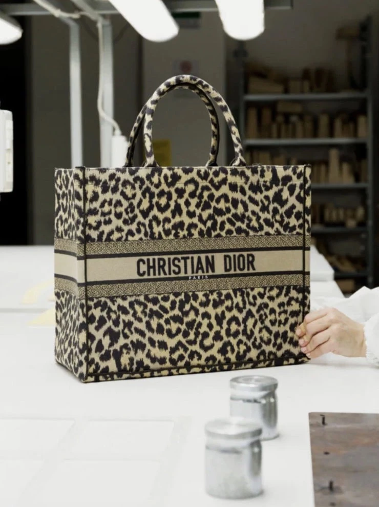 Book Tote de Dior. El diseño que eligen Wanda Nara y la China Suárez. Foto: Instagram.