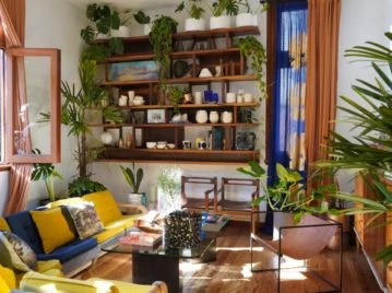 PLANTAS DE INTERIOR ANTIHUMEDAD