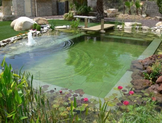 #ManualDeJardinería: qué es una biopiscina y cómo funciona