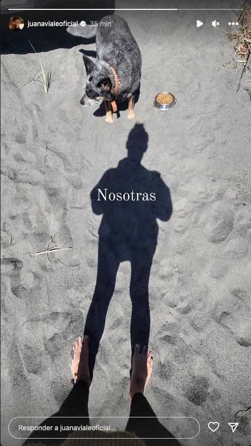 juana viale