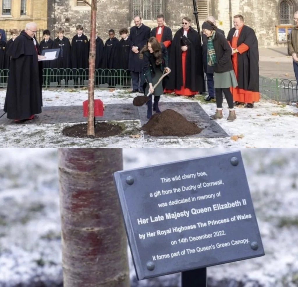 Kate Middleton plantó un árbol en honor a Isabel II