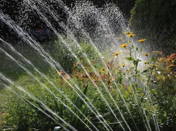 Cómo lograr un buen riego en verano y mantener las plantas siempre hidratadas