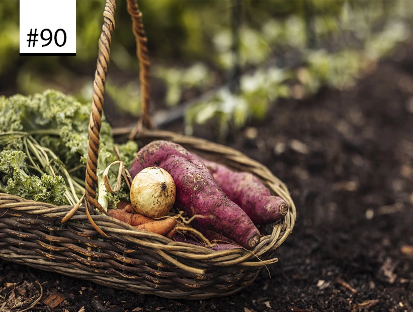 los 100 de para ti la cocina circular