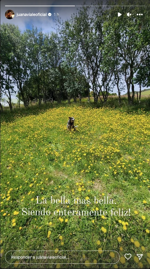 Juana Viale mostró a su mascota corriendo por su campo de Chile