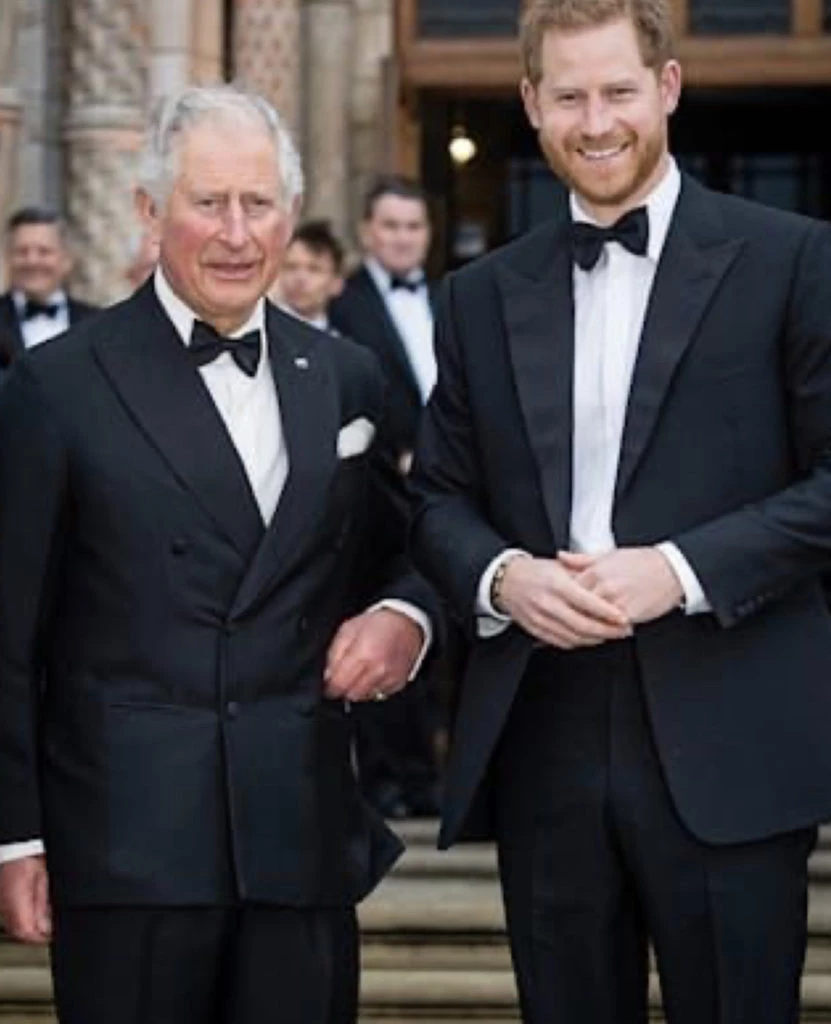 Carlos y Harry en tiempos más felices. Foto: Pinterest.