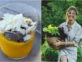 Cómo preparar chía pudding de mango, el desayuno favorito de Juliana Awada