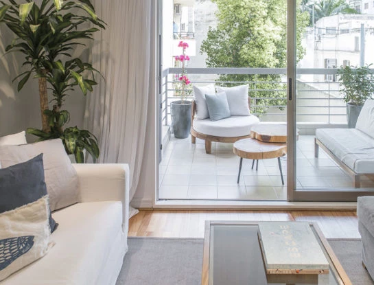 Los mejores tips para decorar tu primera casa con plantas