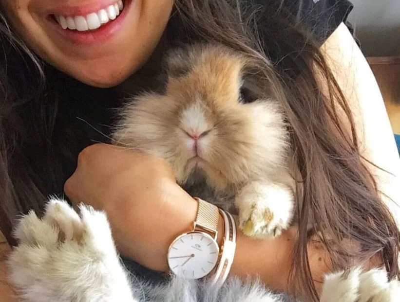 Año Nuevo Chino: cuándo arranca y qué significa que sea el año del Conejo de Agua