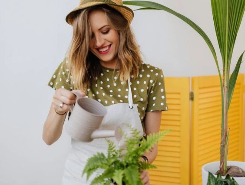 Feng Shui: 7 plantas de interior que atraen la felicidad y son perfectas para decorar