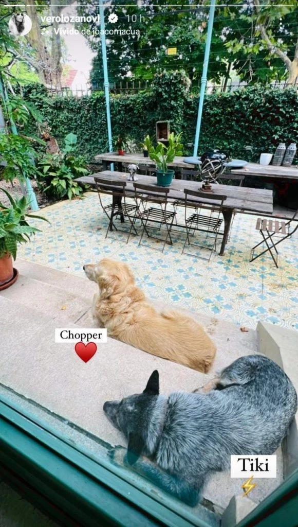 El jardín soñado de Verónica Lozano