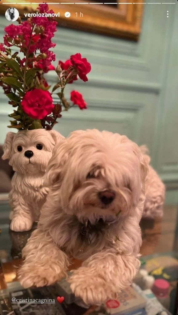 El original florero de Vero Lozano inspirado en su perro Copito