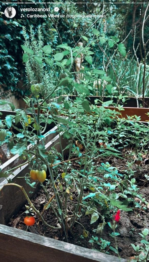 La huerta que tiene Vero Lozano en su jardín