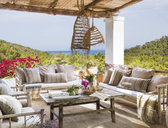 7 plantas lindas y de fácil mantenimiento para casas de playa