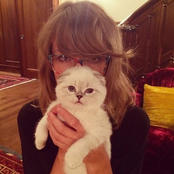 olivia la gata de Taylor Swift 