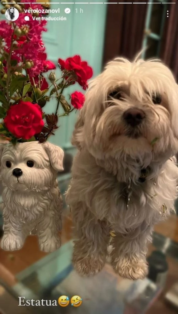 Vero Lozano compartió su nuevo florero idéntico a su perro Copito
