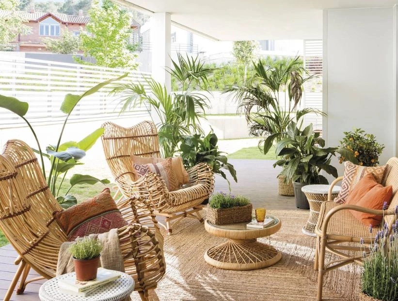 Cómo cuidar y regar tus plantas cuando te vas de vacaciones