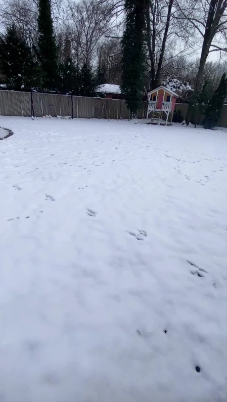 evangelina anderson se despidio de su casa de munich