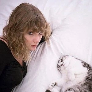 olivia la gata de Taylor Swift 