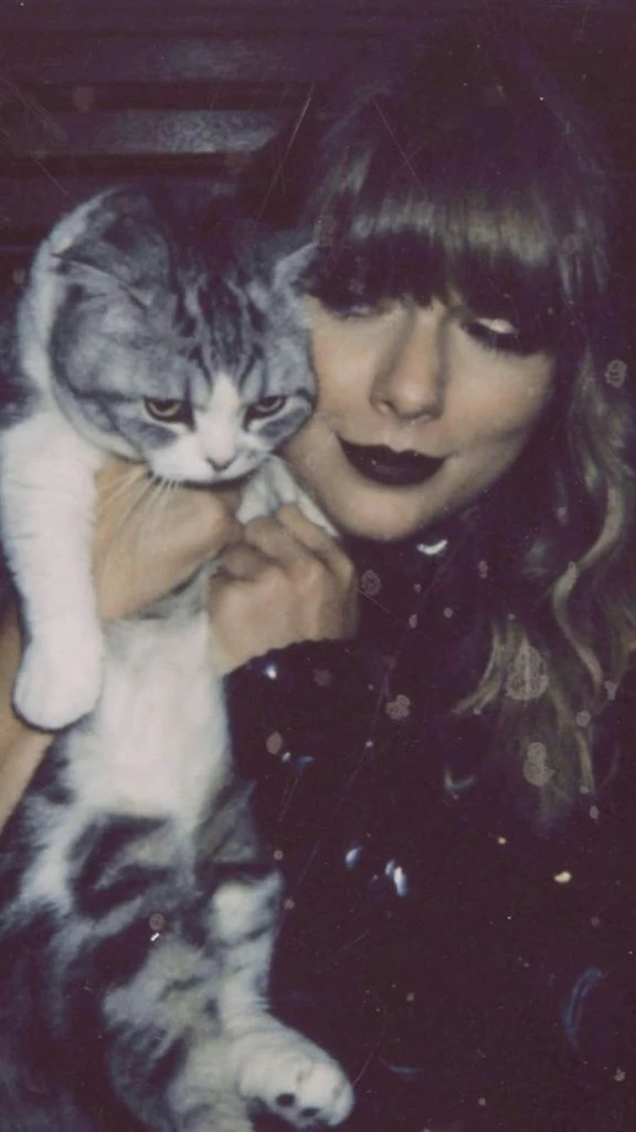 olivia la gata de Taylor Swift 