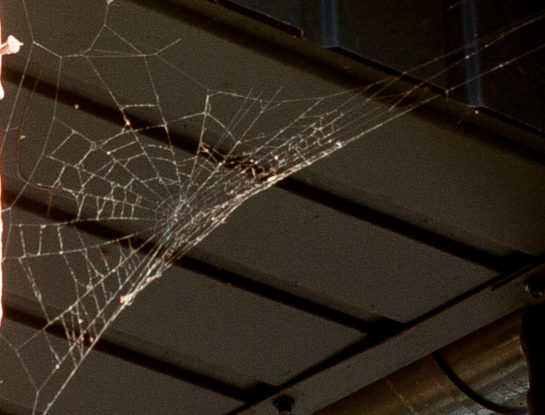 Cómo limpiar y prevenir la aparición de telarañas en techos y paredes de casa