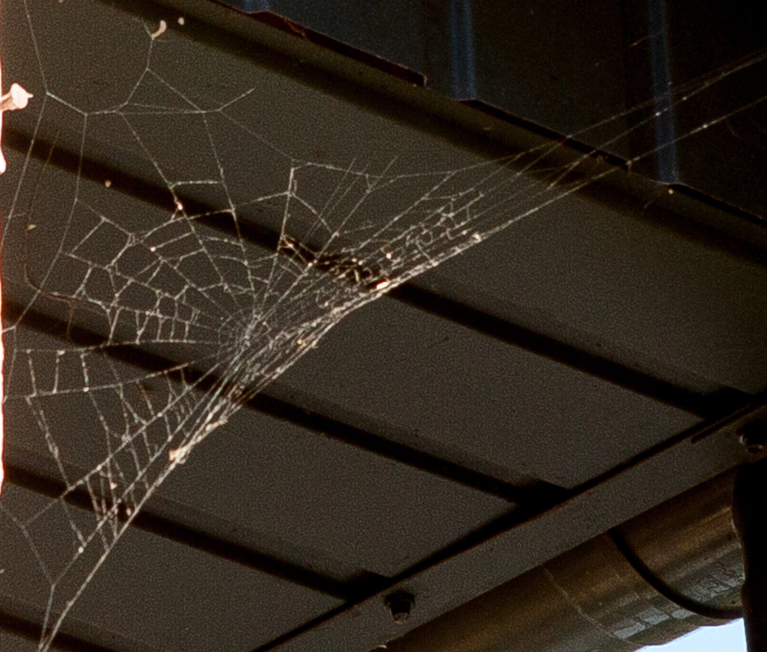 Cómo limpiar y prevenir la aparición de telarañas en techos y paredes de casa