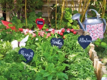 Manual de Jardinería: 10 consejos básicos para principiantes