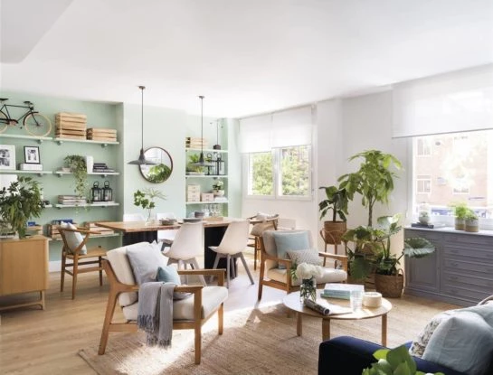 Las mejores plantas para decorar y refrescar tu casa en verano