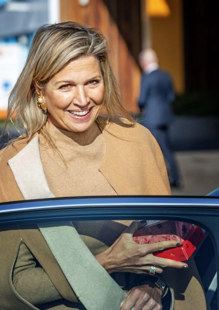 look reina maxima en camel