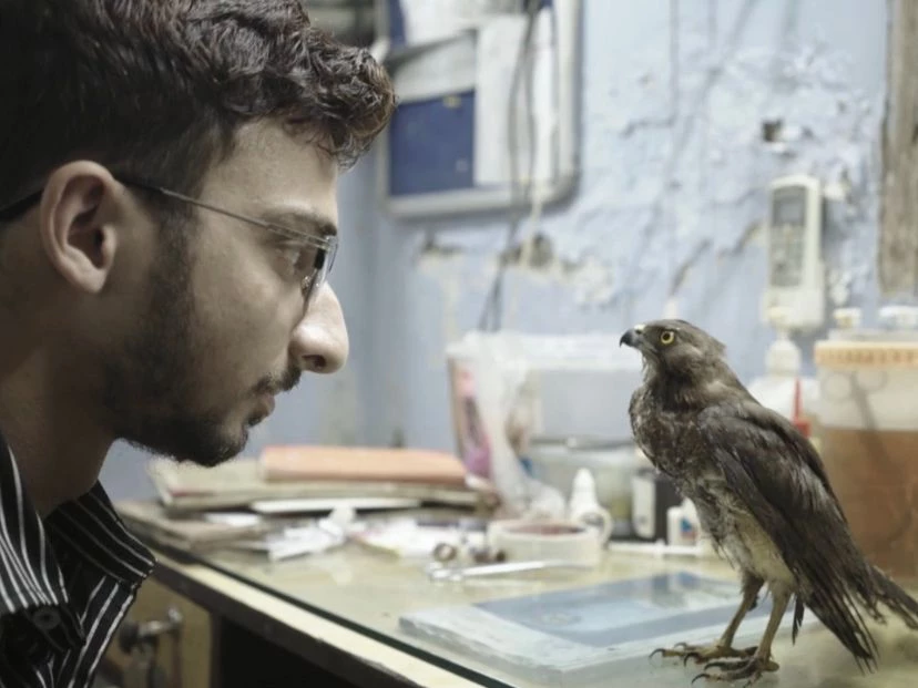 Se estrenó Todo lo que respira