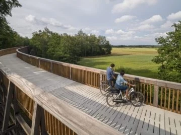 Puentes de madera: una alternativa sustentable y natural que funciona como imán para el turismo