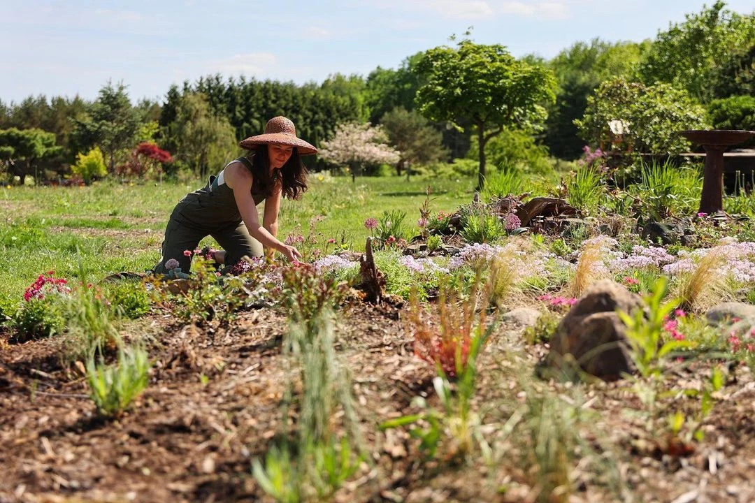 5 flores autóctonas fáciles de cuidar que no pueden faltar en tu jardín