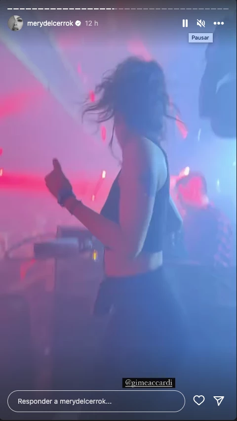 Cumpleaños de Mery del Cerro y Emilia Attias