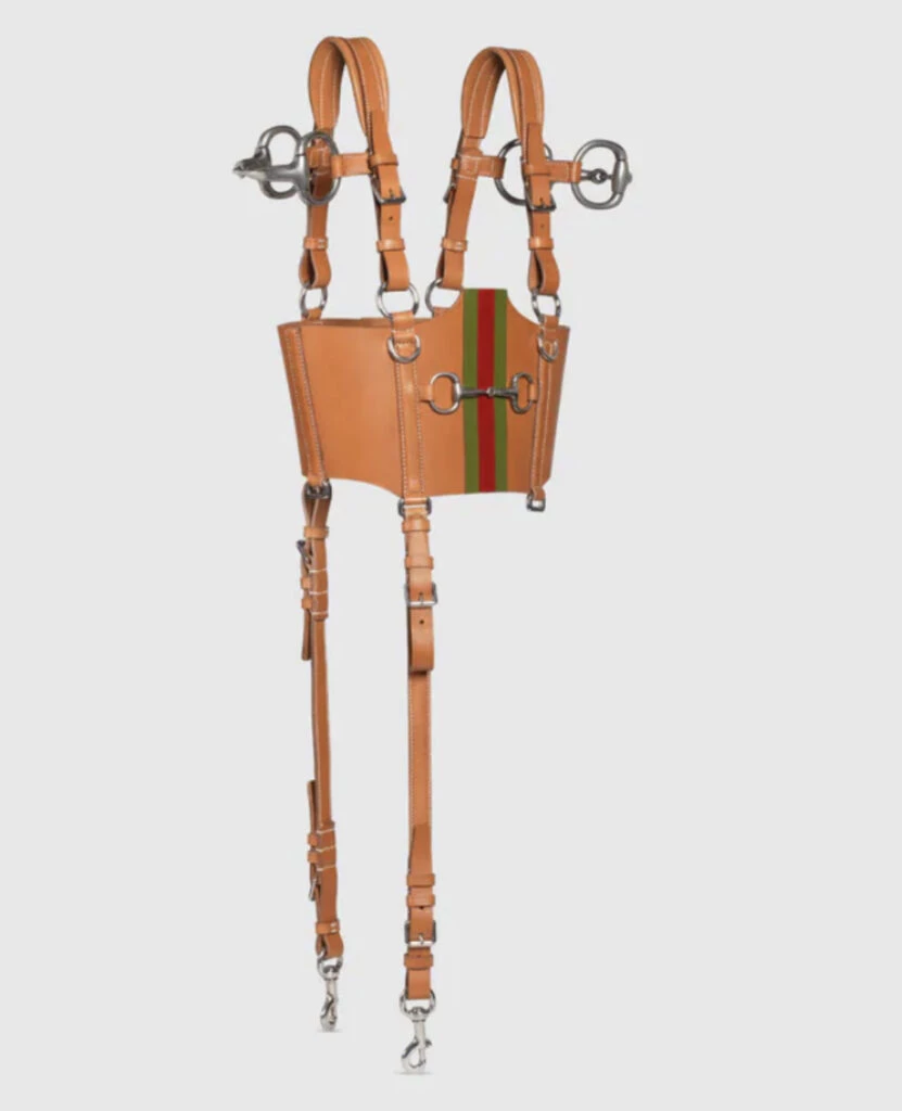 El exclusivo accesorio Gucci que usó la China. Foto: web.