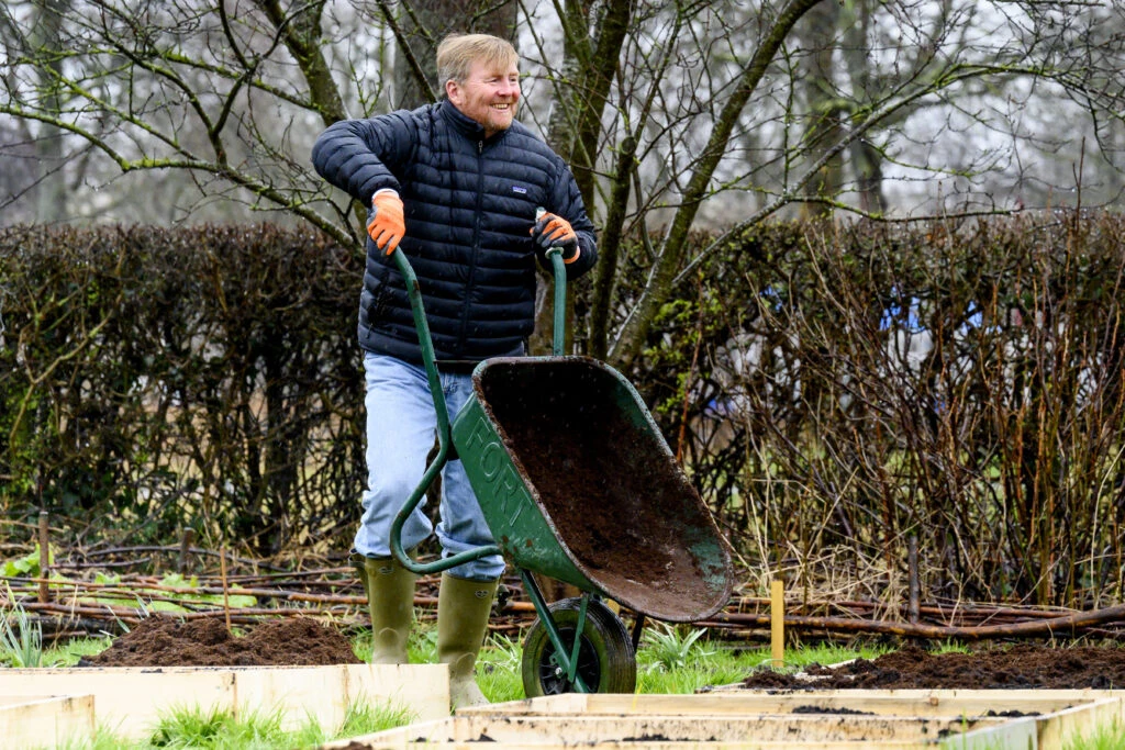Guillermo de Países Bajos