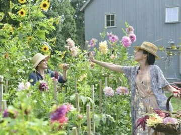 Manual de Jardinería: 5 tareas que tenés que hacer antes que termine marzo